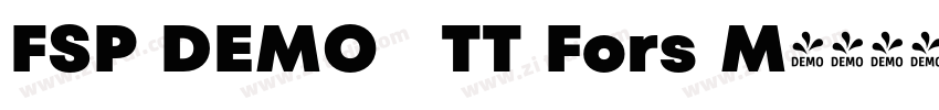 FSP DEMO   TT Fors M字体转换